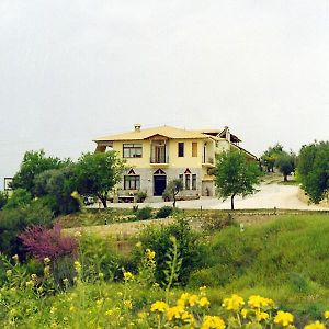 La Petite Planete